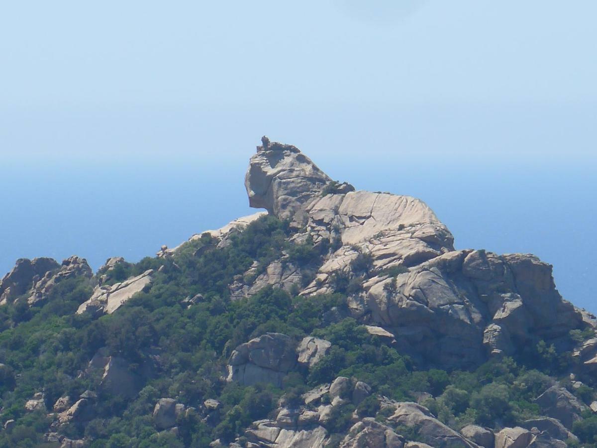 Luna Verde Porto-Vecchio  Ngoại thất bức ảnh